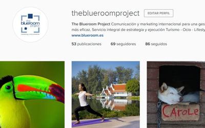 ¡The Blueroom Project en Instagram!